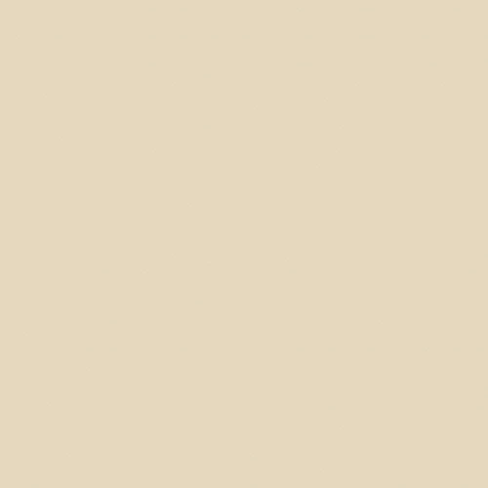 ʯ 600x600 Ұ SF-L60355